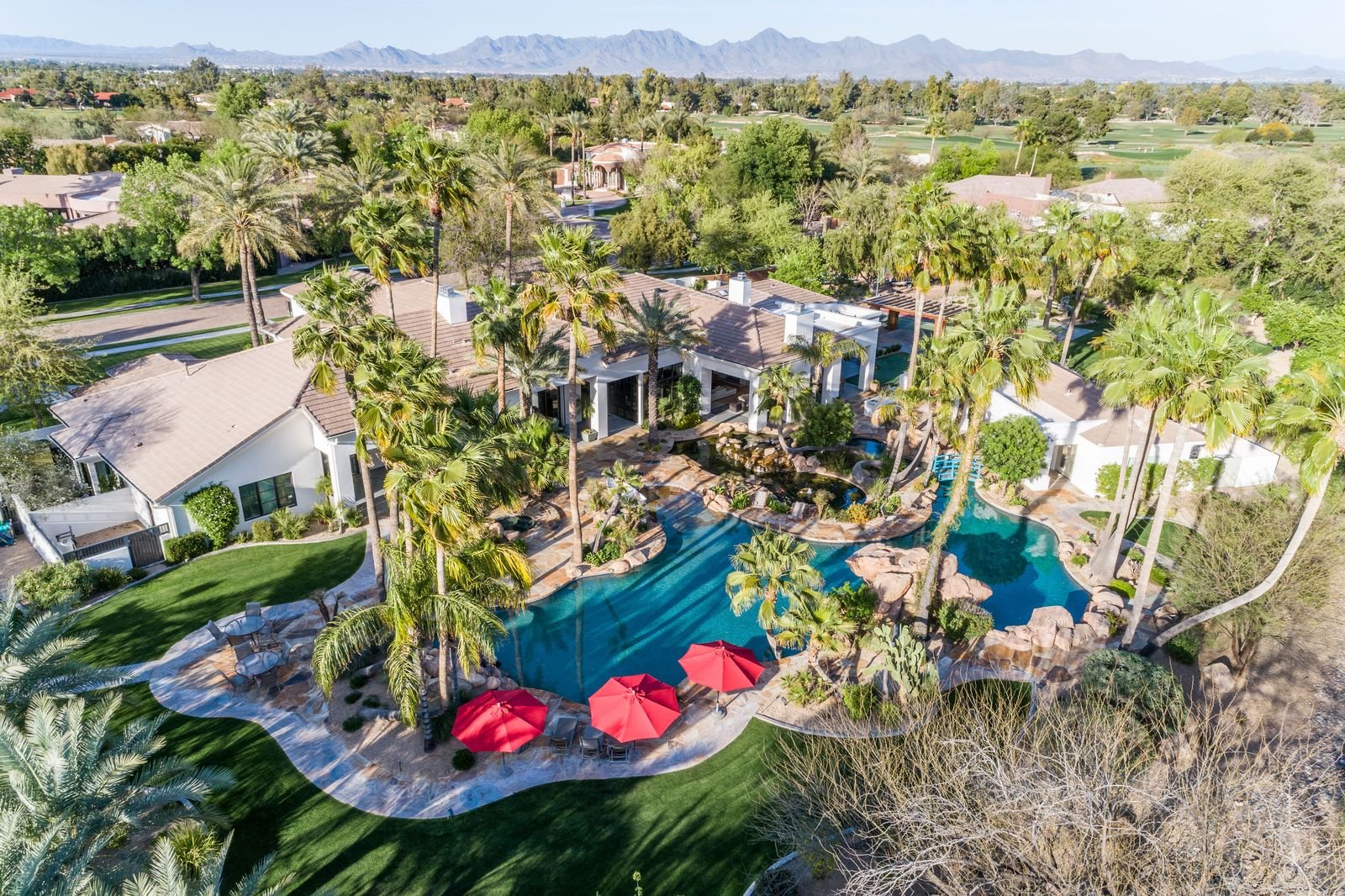House covered in greenery